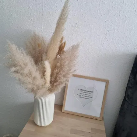 Zentral Gelegene 2-zkb-wohnung Vorstadt Koblenz (Rhineland-Palatinate)