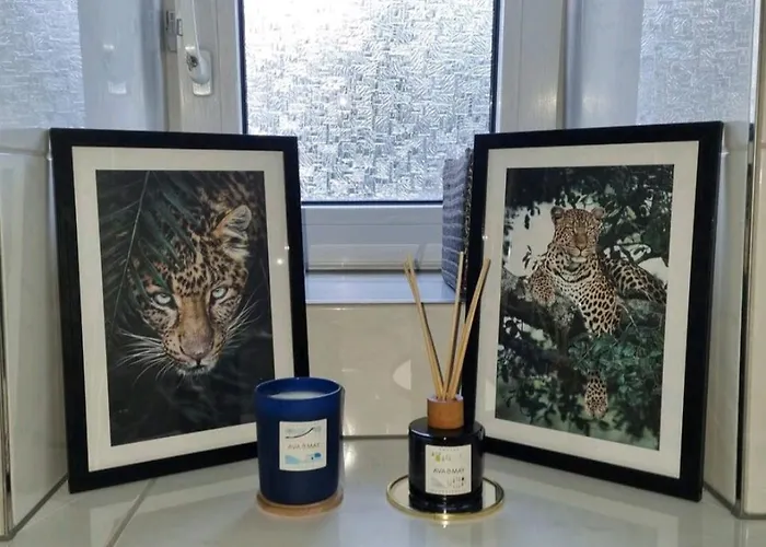 Zentral Gelegene 2-zkb-wohnung Vorstadt *